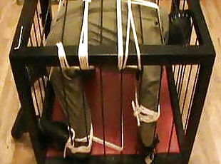 Restrained to a cage - 2