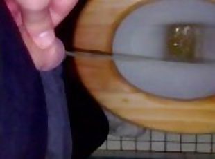 Toilet piss