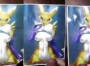 Renamon NoClean SOP Tribute - Stage 1