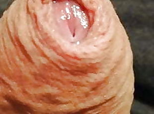 Foreskin and precum close up