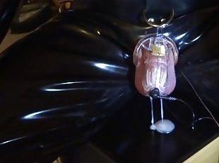 orgasme, amatør, cumshot, homofil, massasje, creampie, bdsm, cum, fetisj, latex