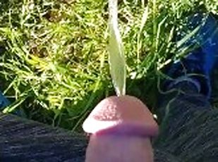 Stud pisses huge with half-mast beautiful cock...