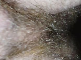 Pulsating Hairy Butthole