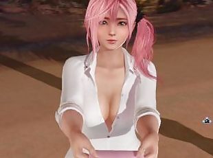 Dead or Alive Xtreme Venus Vacation Misaki Valentine's Day Pose Cards Fanservice Appreciation