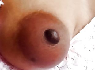 asiatique, poilue, masturbation, orgasme, chatte-pussy, femme, amateur, mature, maison, indien