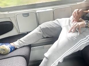 Jerking my thick cock and cumming on the train in public