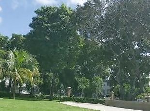 A Beautiful Day At The Park Met A Horny Sexy Ebony Slut Took Her To The Condo For Blowjob - Jhodez